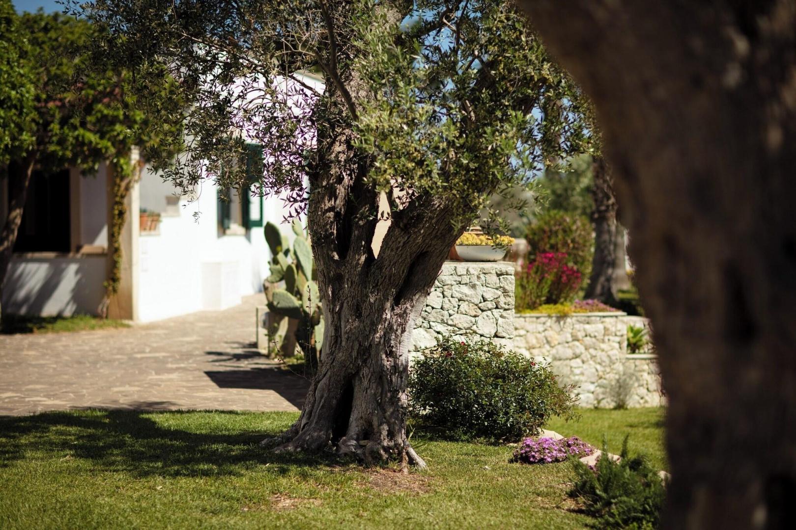 Hotel Resort Mulino a Vento foto 29