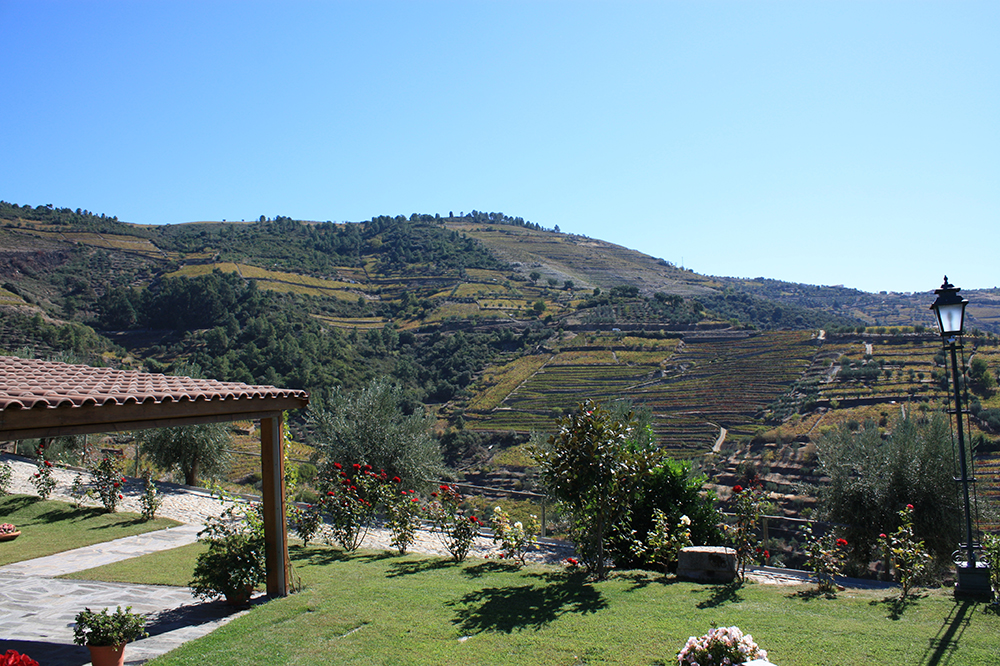 Hotel Quinta do Silval foto 8