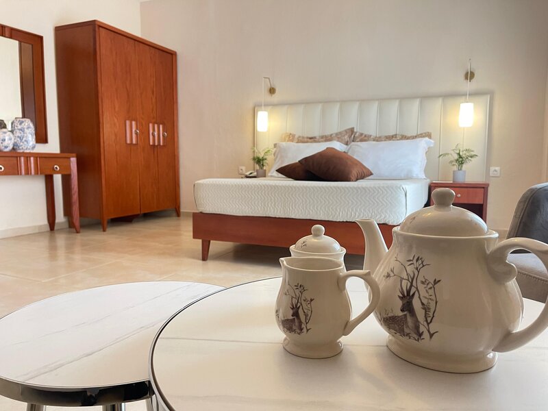 Alkyonis Hotel foto 61
