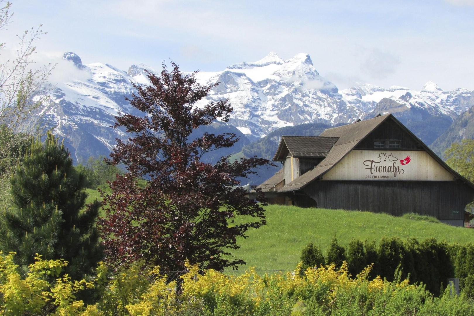 Swiss Holiday Park foto 43