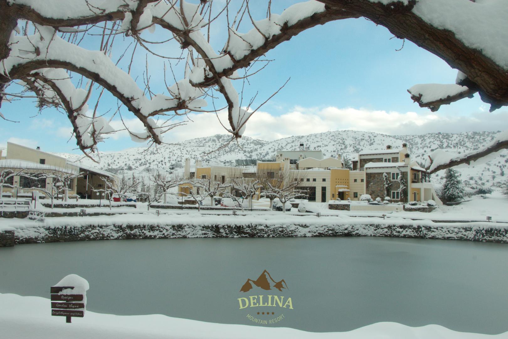 Delina Mountain Resort image 3