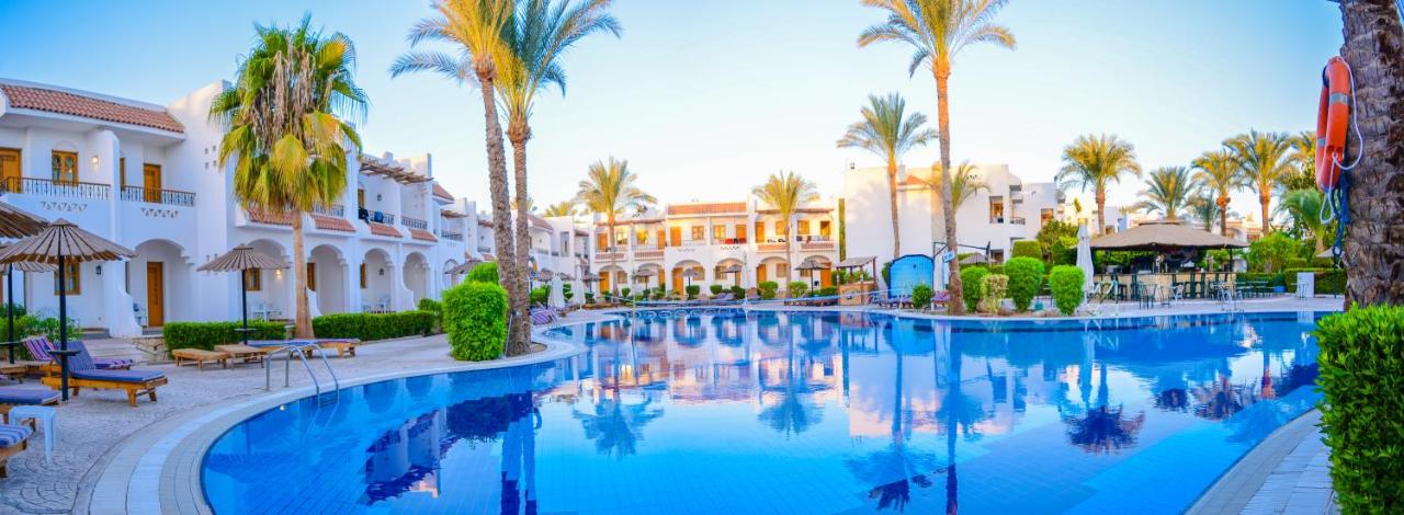 een zwembad van een resort met palmbomen en gebouwen bij Dive Inn Resort in Sharm El Sheikh