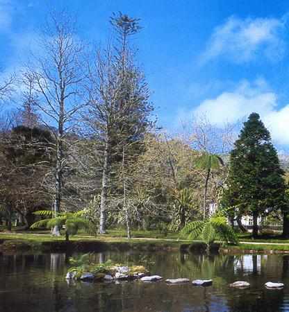 Terra Nostra Garden foto 203