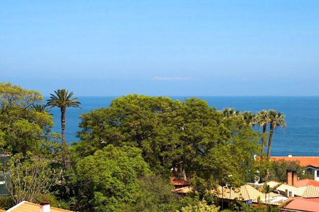Terrace Mar Suite Hotel in Funchal - foto 3
