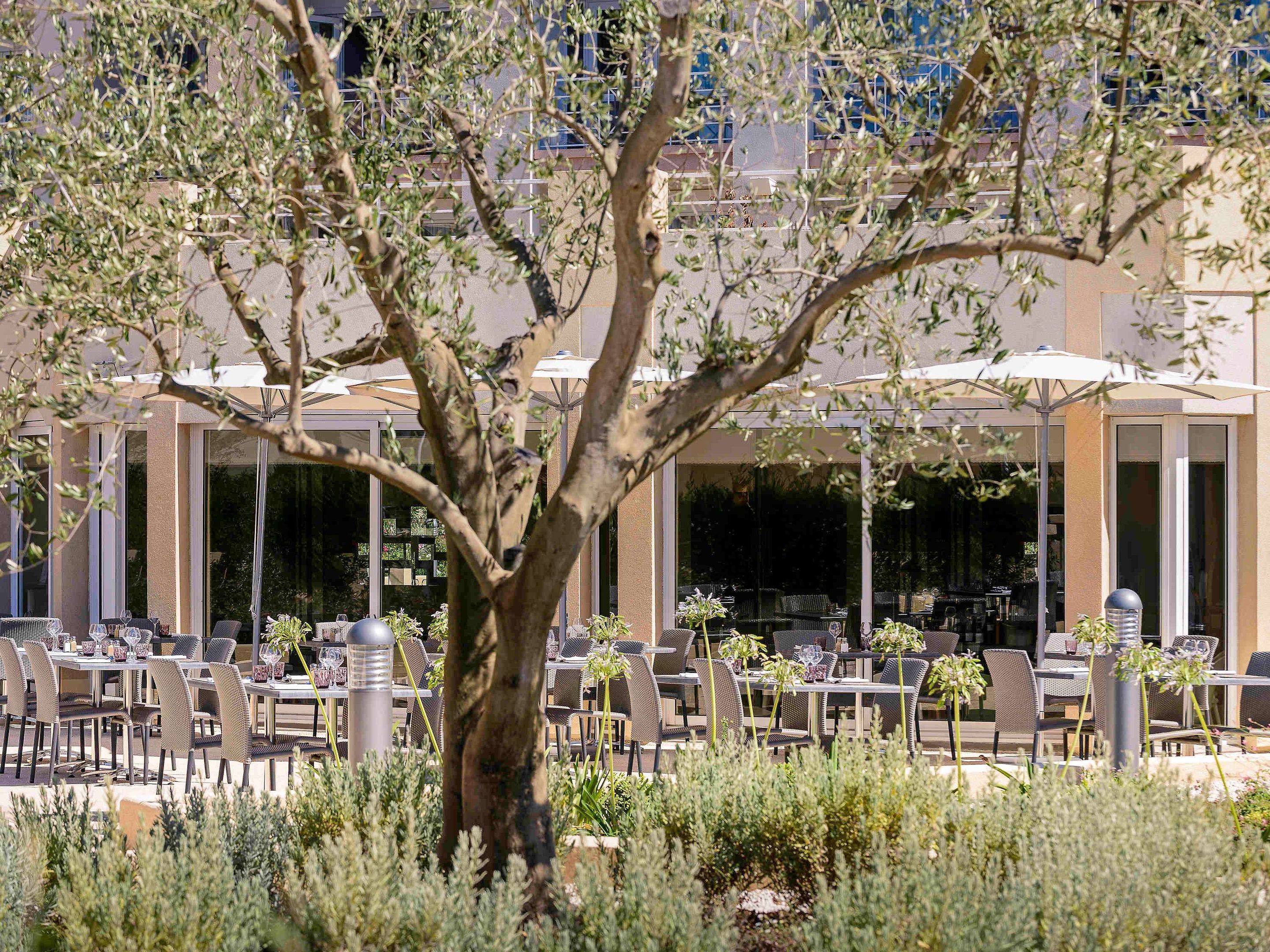 Mercure Thalasso and Spa Port Frejus foto 48