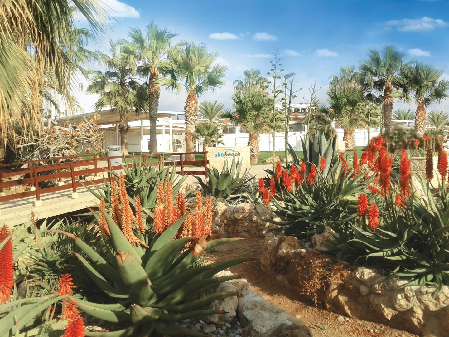 Akti Beach Village Resort foto 27