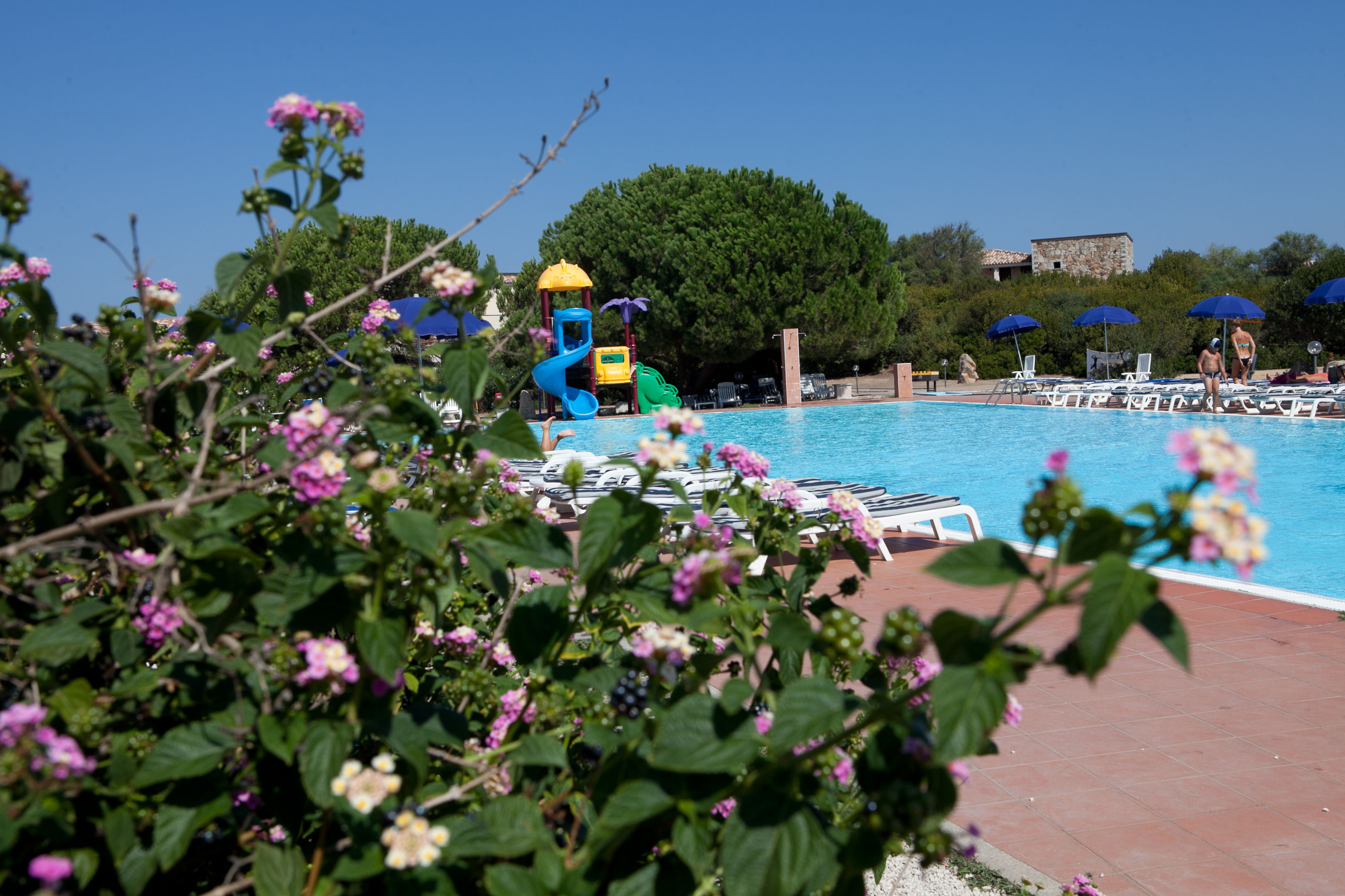 Buitenzwembad met ligbedden — Club Esse Gallura Beach Village