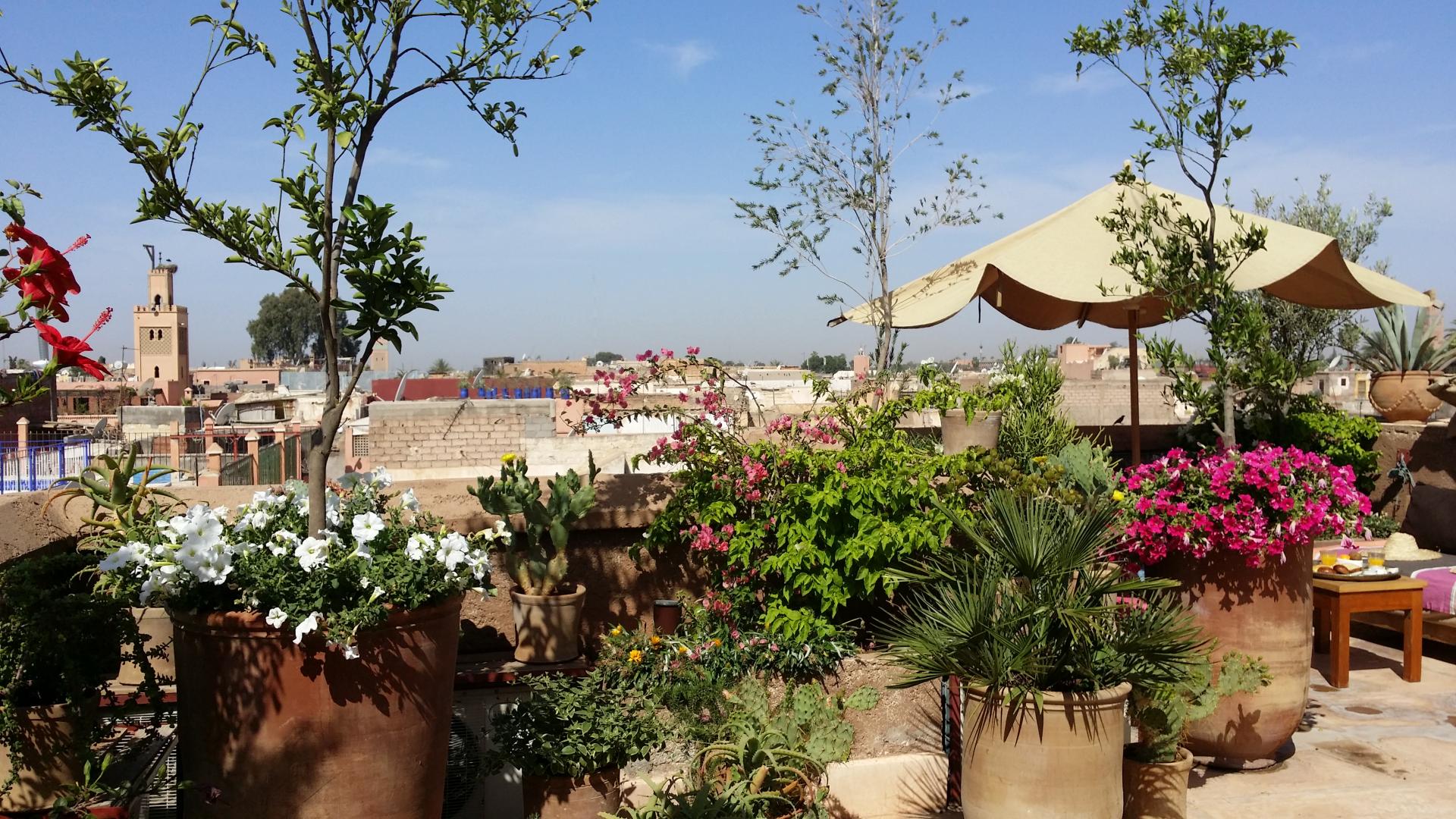 Riad Al Ksar & Spa foto 10