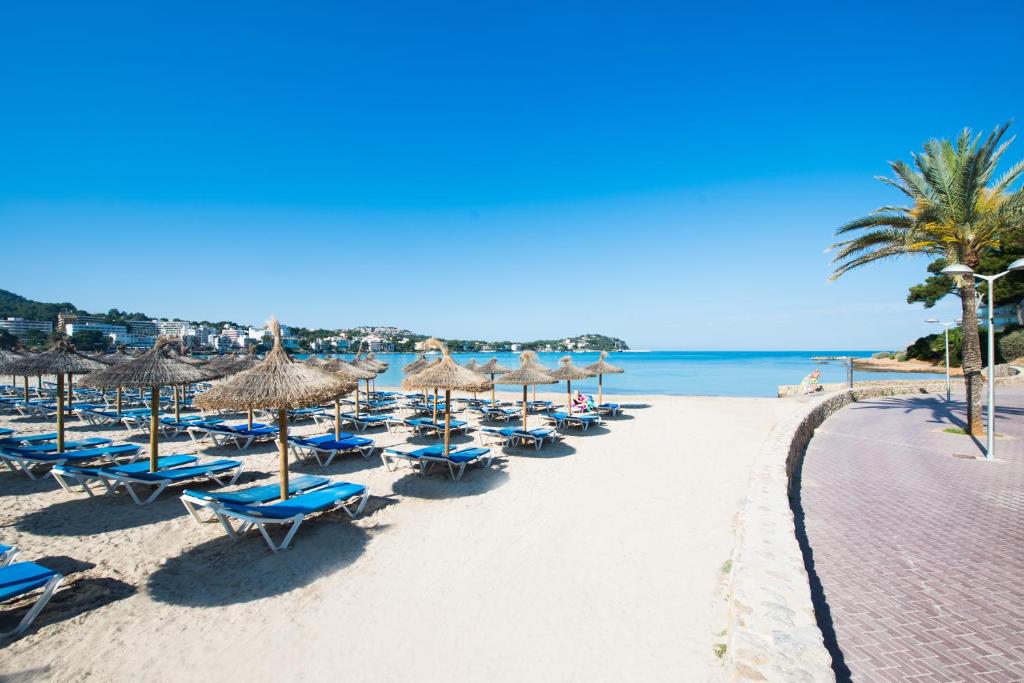 Apartamentos Mallorca Portofino foto 8