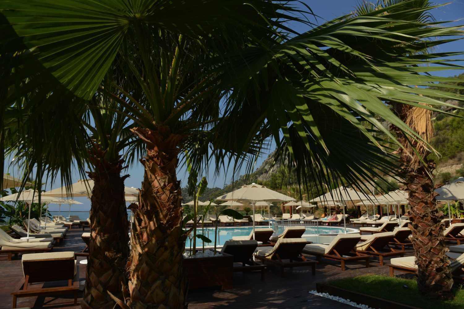 Manaspark Deluxe Hotel Oludeniz foto 208