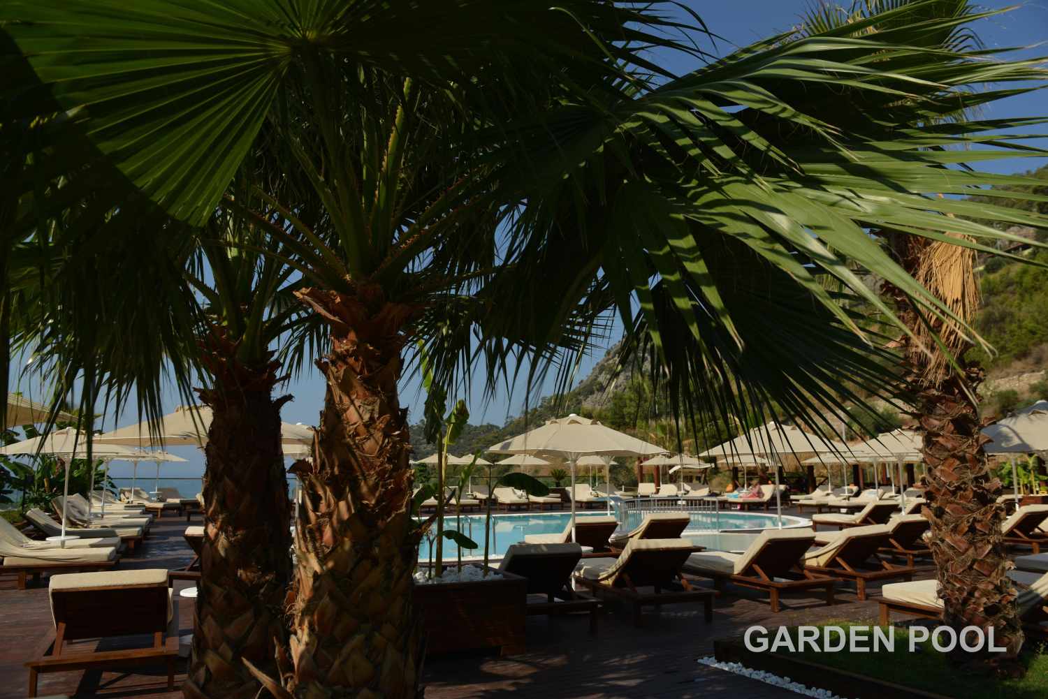 Manaspark Deluxe Hotel Oludeniz foto 454