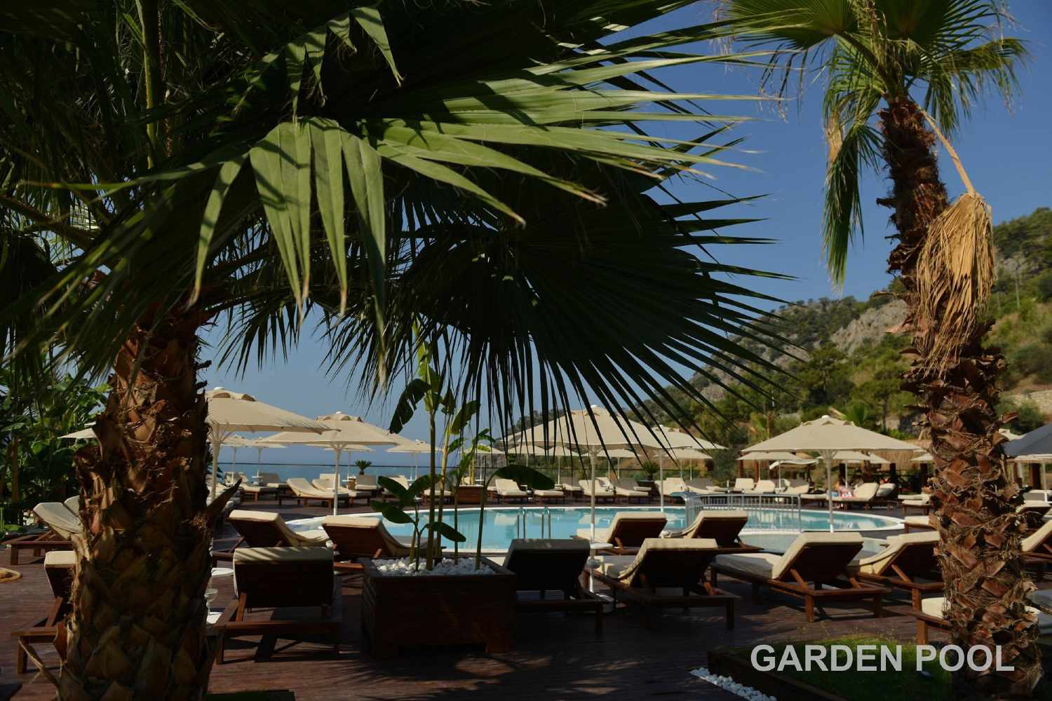 Manaspark Deluxe Hotel Oludeniz foto 455