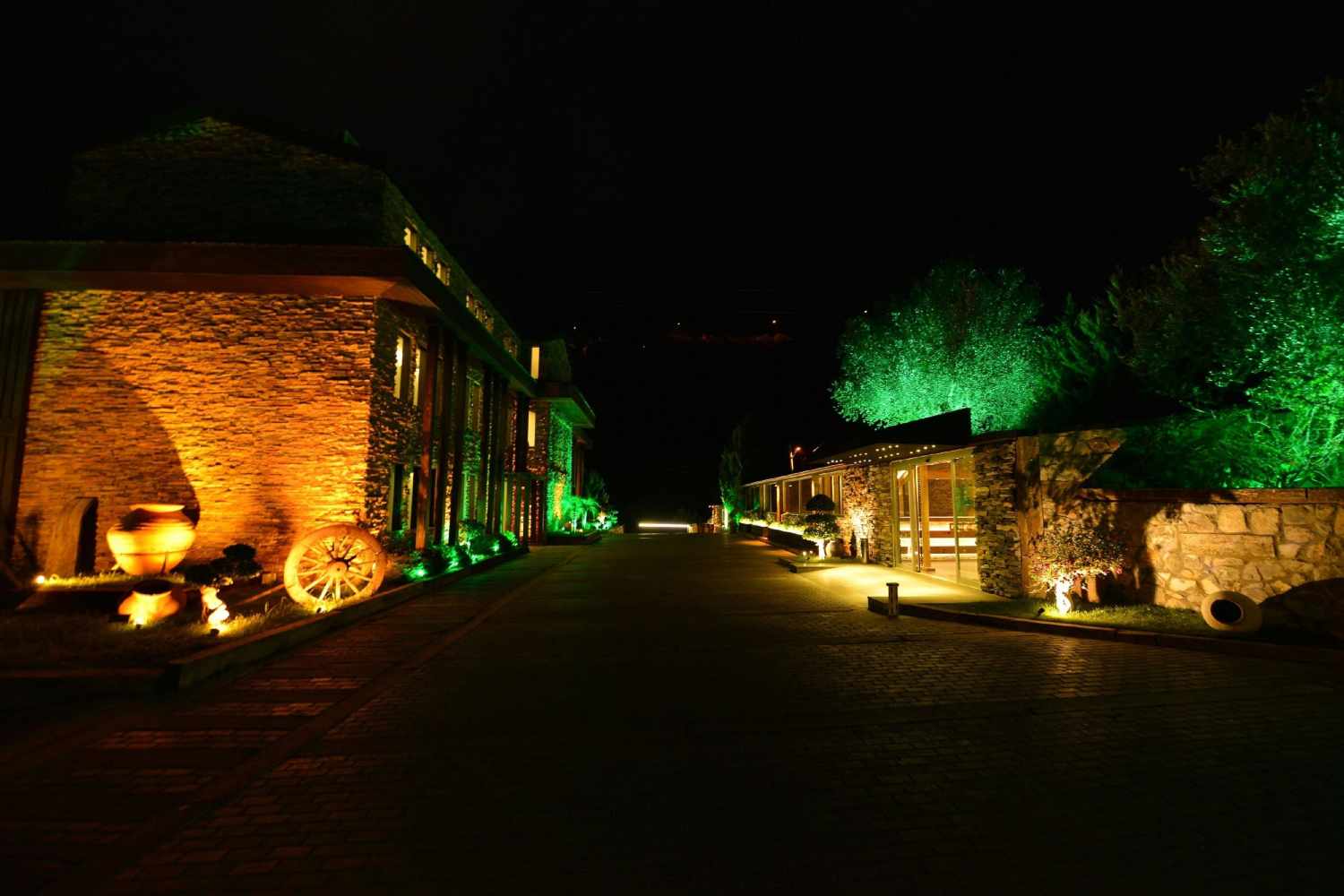 Manaspark Deluxe Hotel Oludeniz foto 425