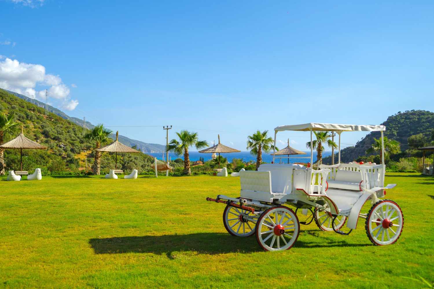 Manaspark Deluxe Hotel Oludeniz foto 199
