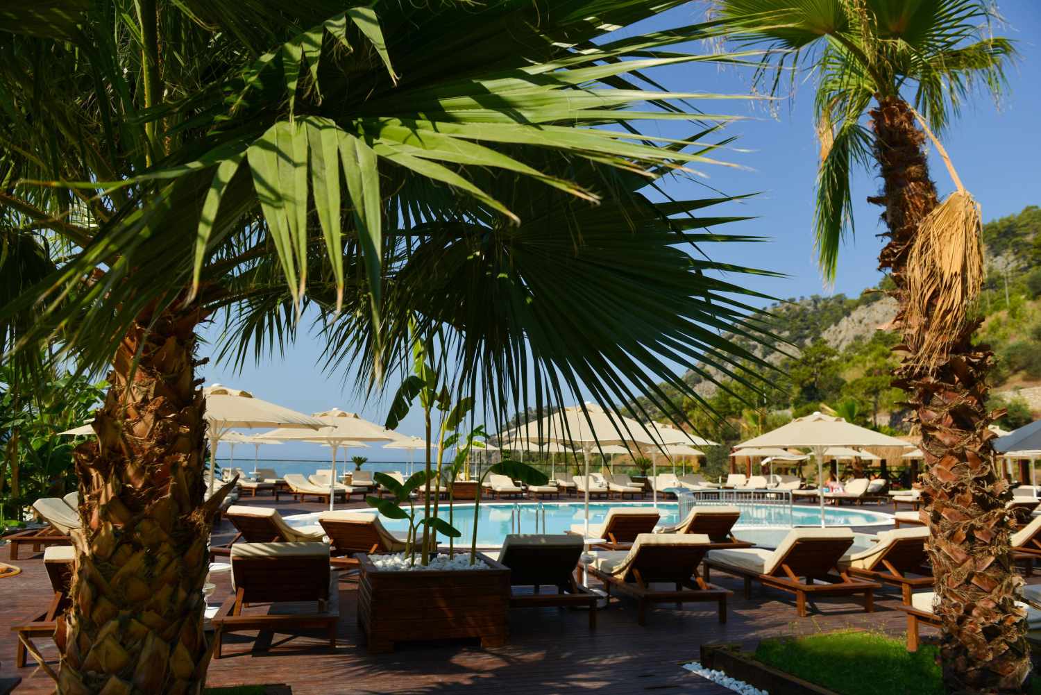 Manaspark Deluxe Hotel Oludeniz foto 136