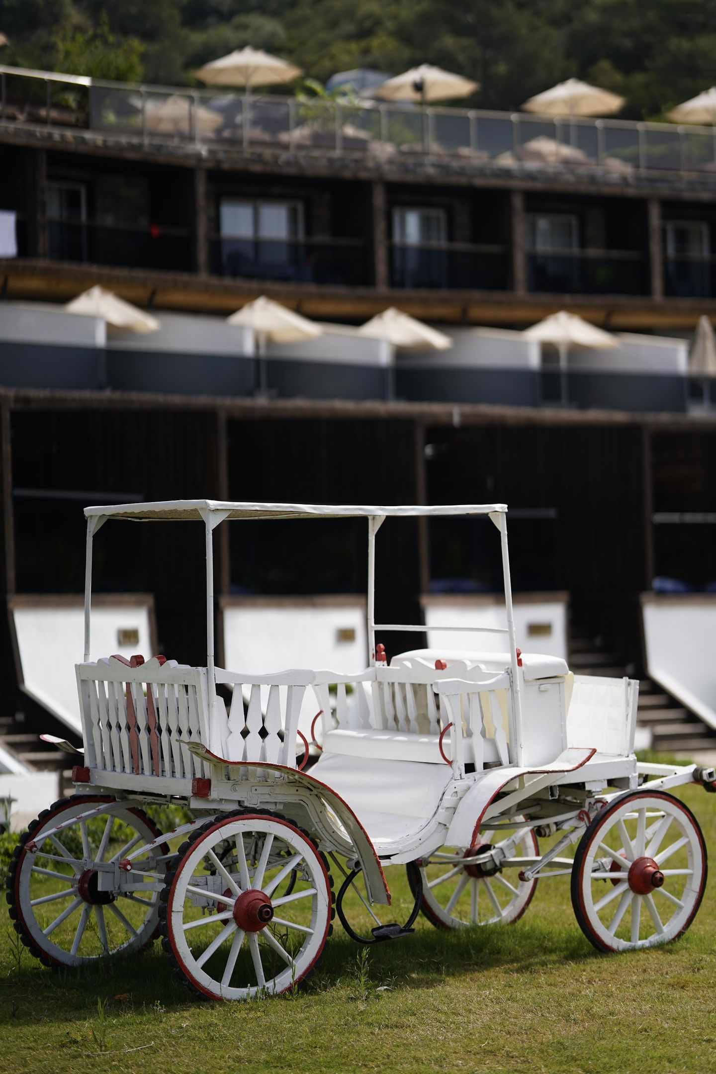 Manaspark Deluxe Hotel Oludeniz foto 440