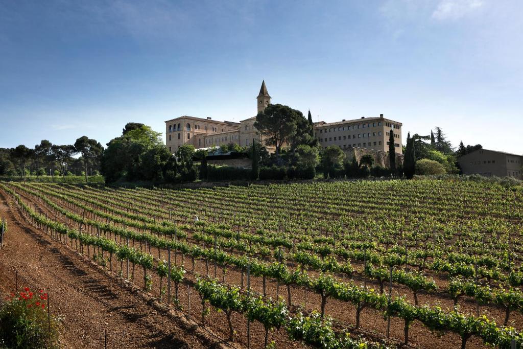 Monestir de les Avellanes foto 14