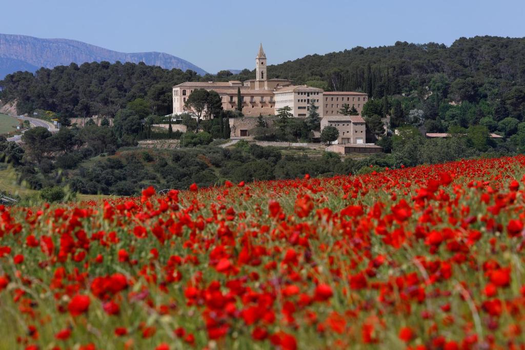 Monestir de les Avellanes foto 18