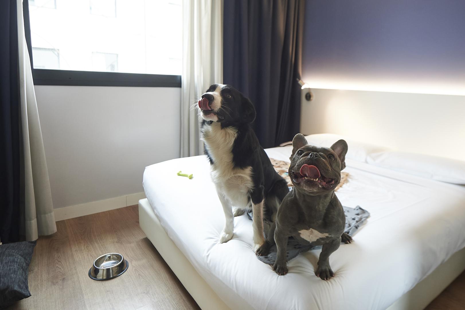 Neo Hotel foto 40