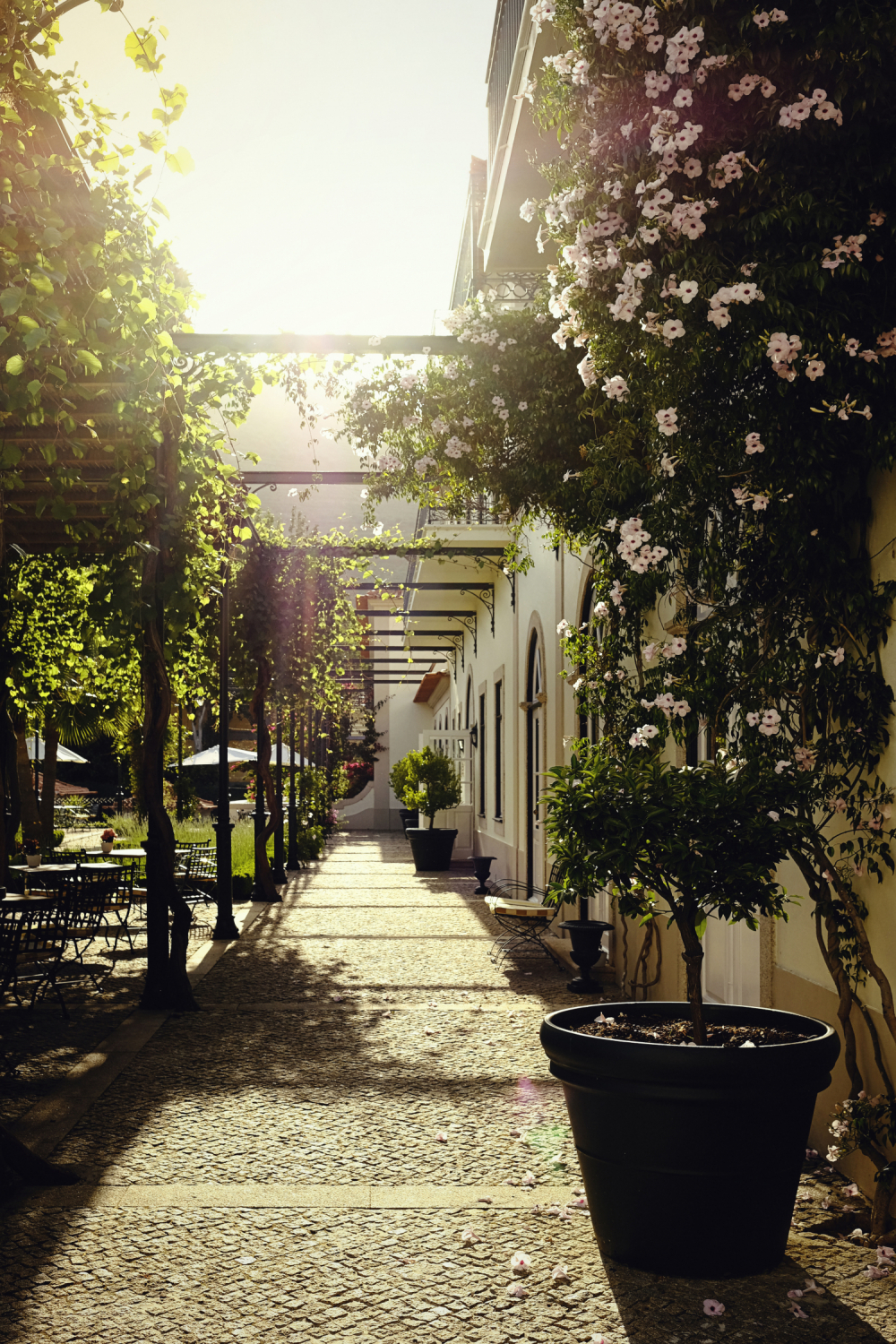Vintage House Hotel foto 10