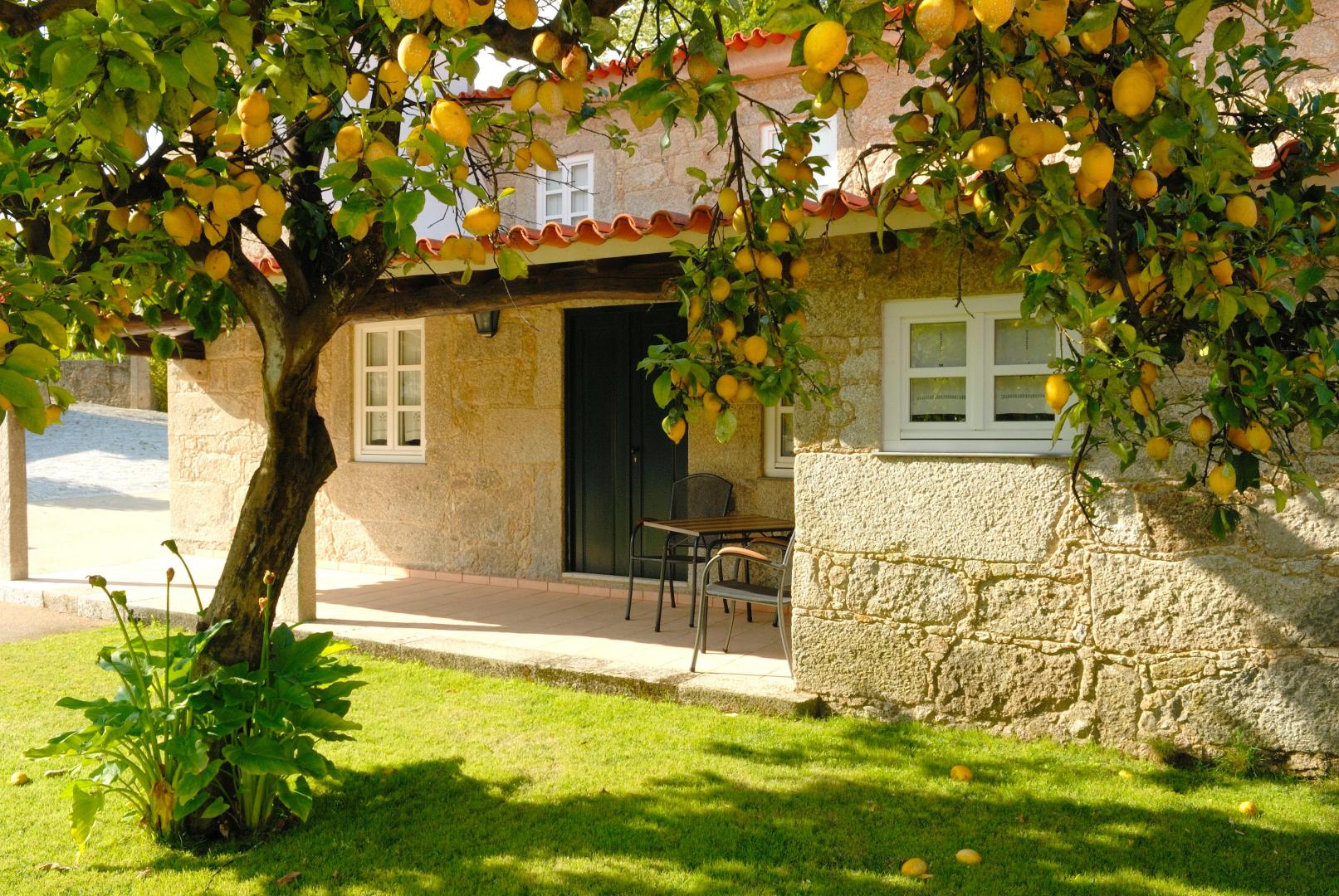 Quinta de Malta image 2