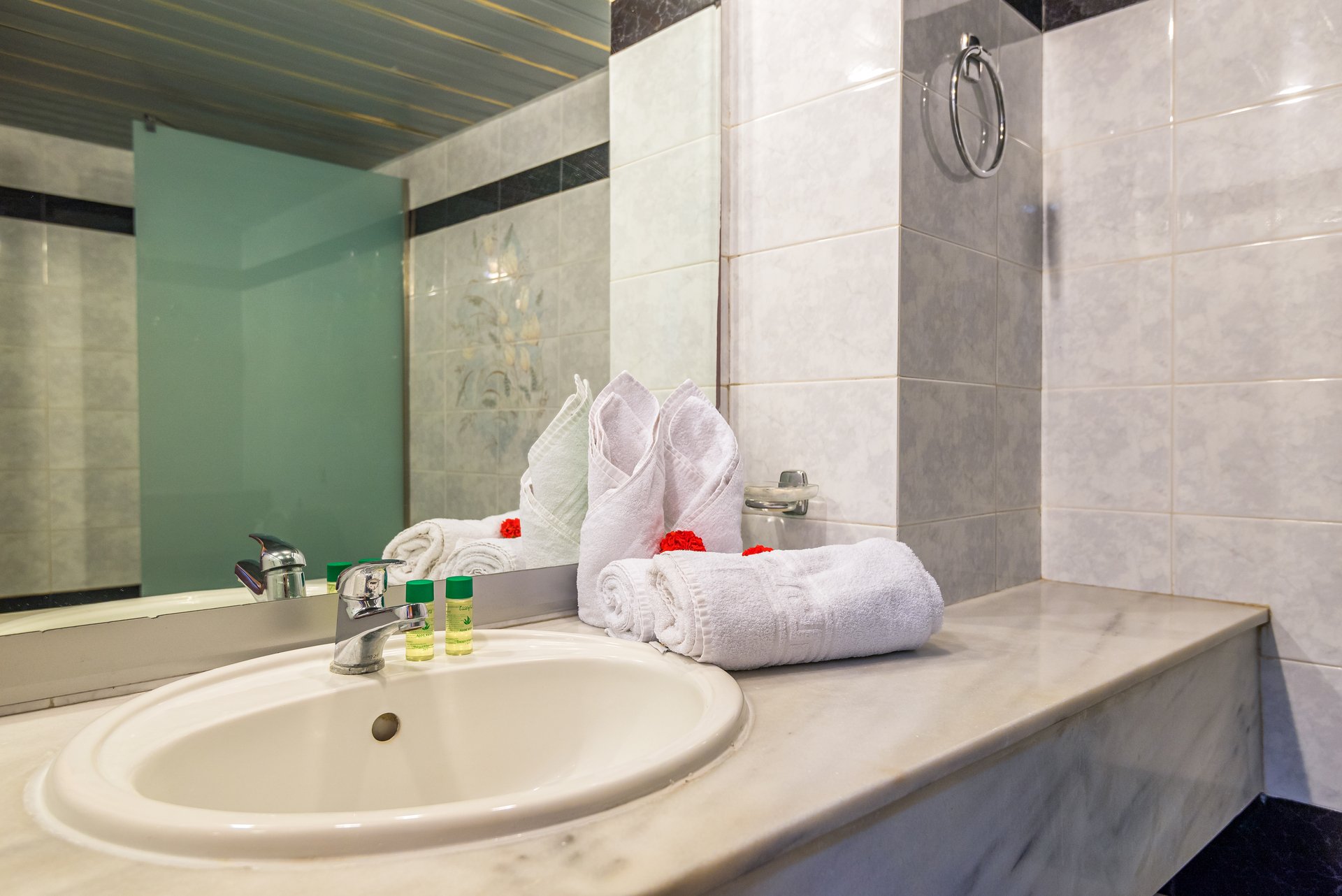 Themis Beach Hotel foto 18