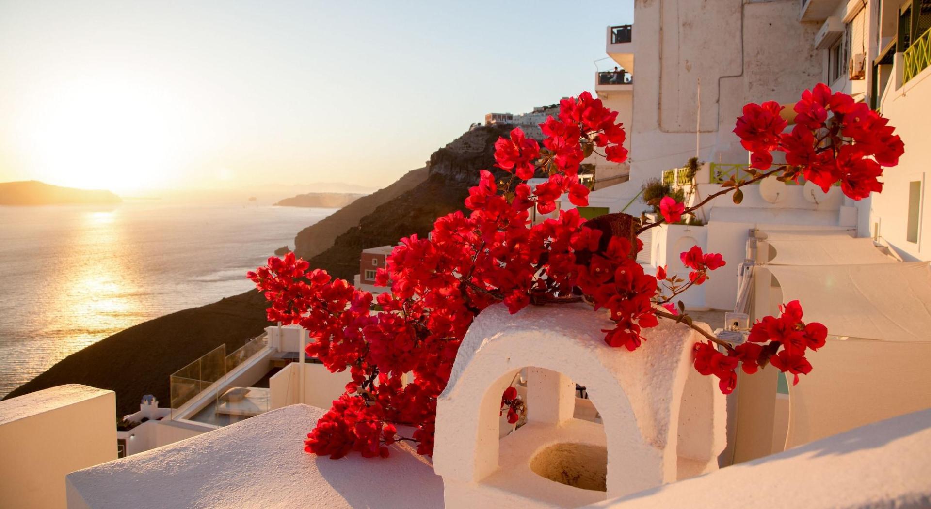 Asha Luxury Suites foto 17