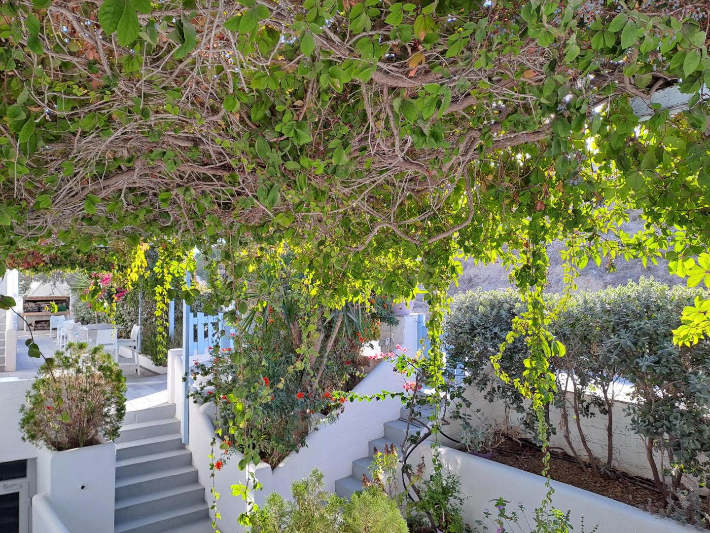 Stratos Apartments & Studios foto 19