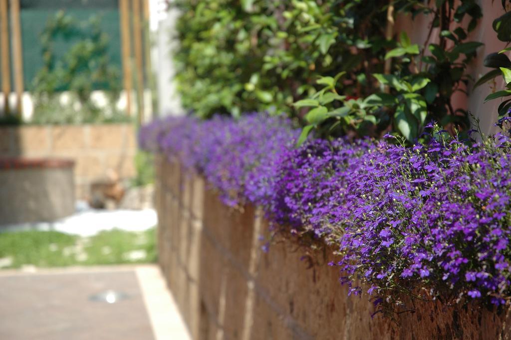 Residenza Glave foto 12