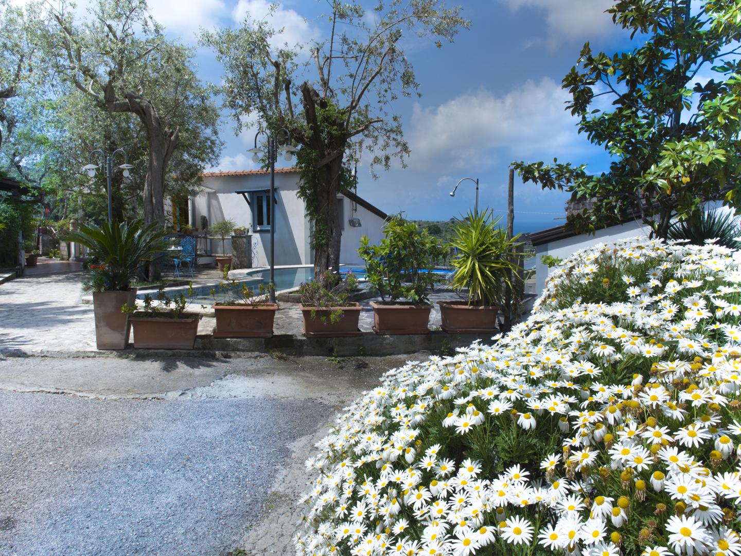 Villa Giovanna foto 12