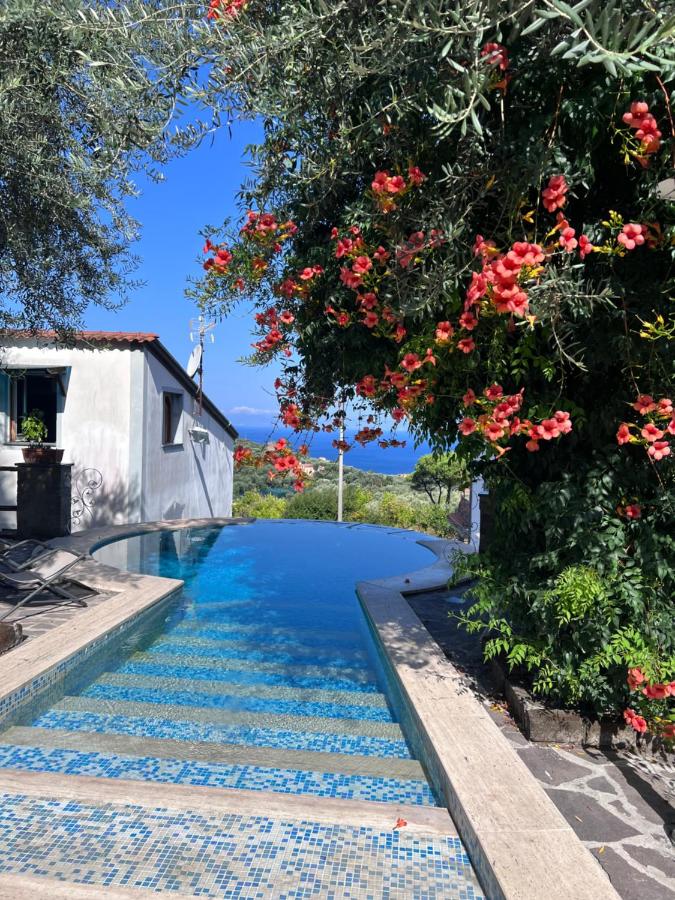 Villa Giovanna in Sorrent, Naples - foto 5