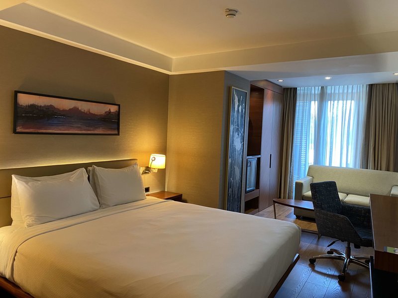 DoubleTree by Hilton Hotel Istanbul - Old Town foto 184
