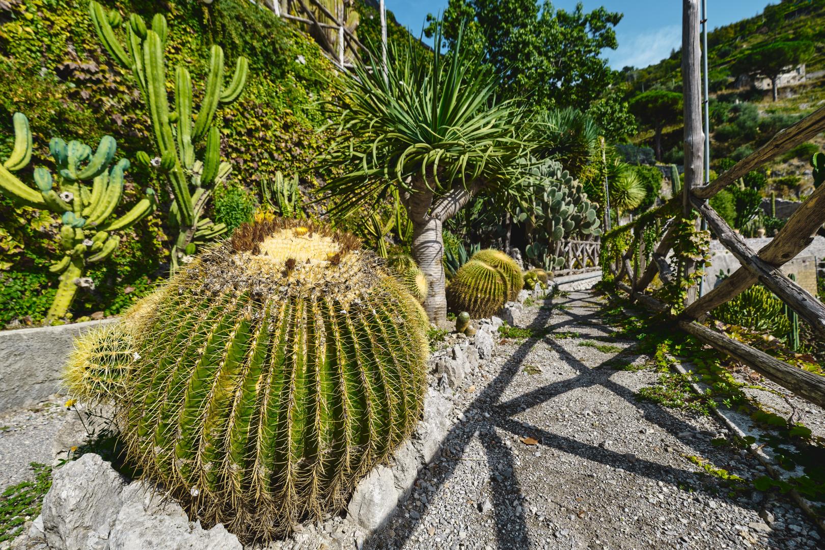 Botanico San Lazzaro foto 24