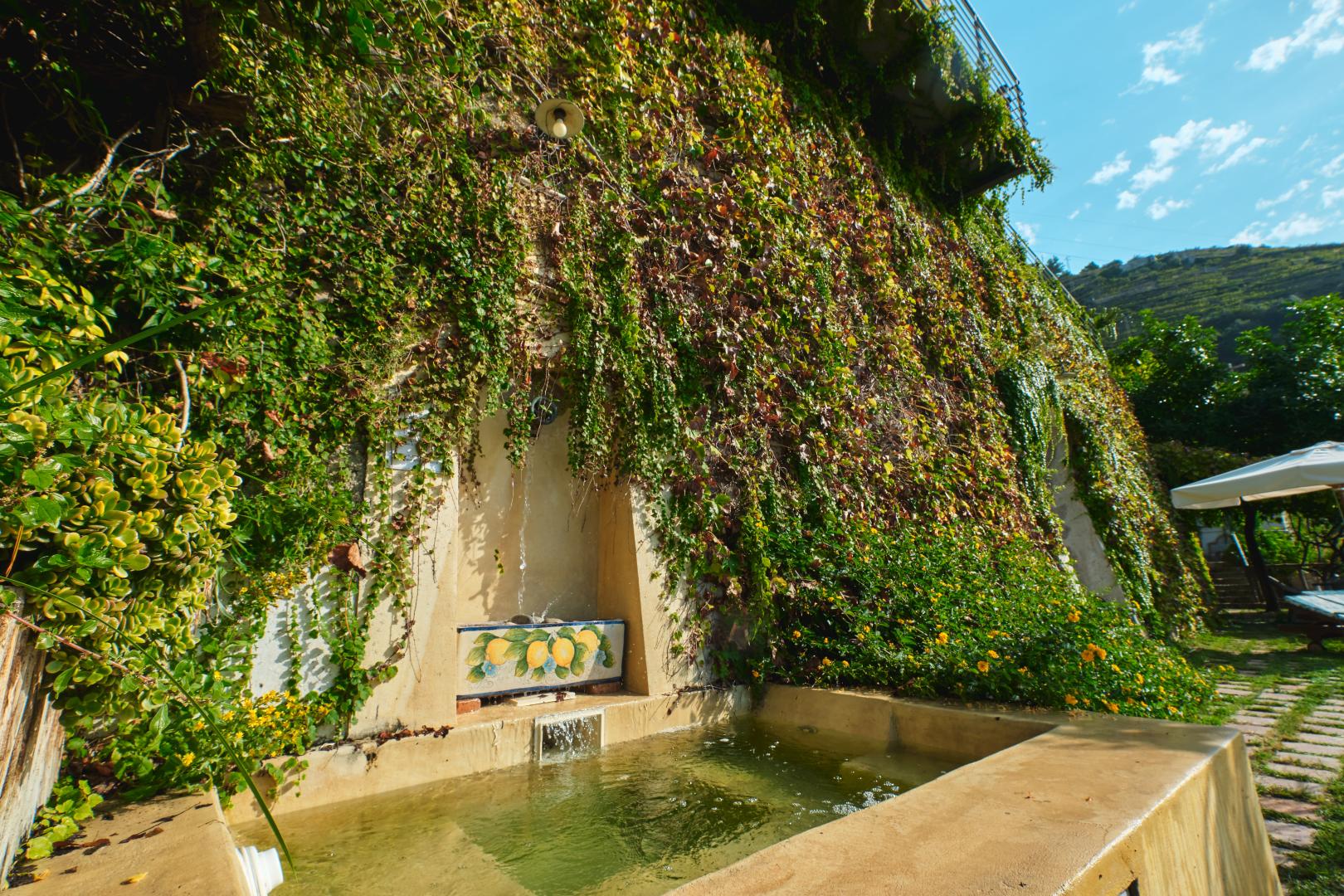 Botanico San Lazzaro foto 14