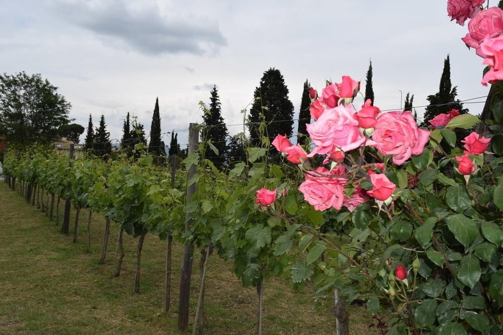 Borgo San Giusto foto 17