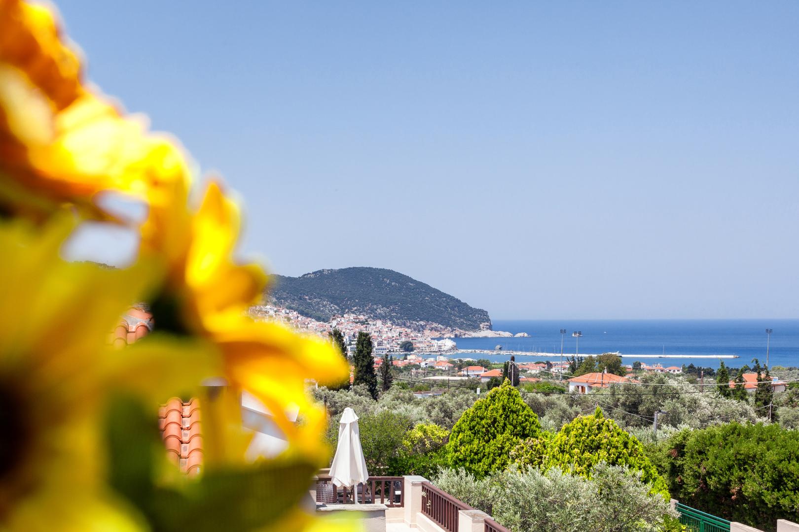 Skopelos Holidays Hotel foto 13