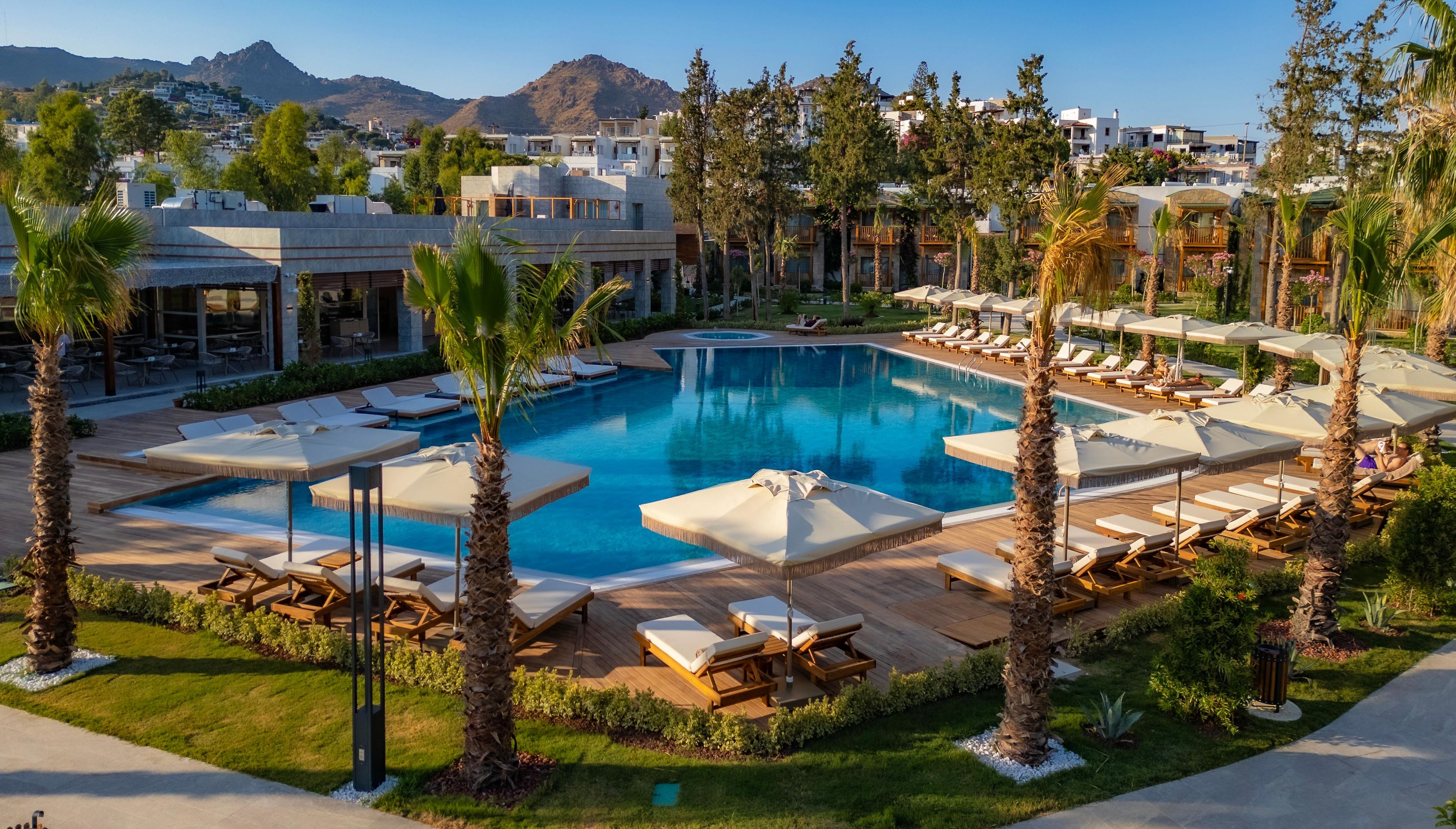 Zwembad omringd door palmbomen — Suum Bodrum Hotel & Beach