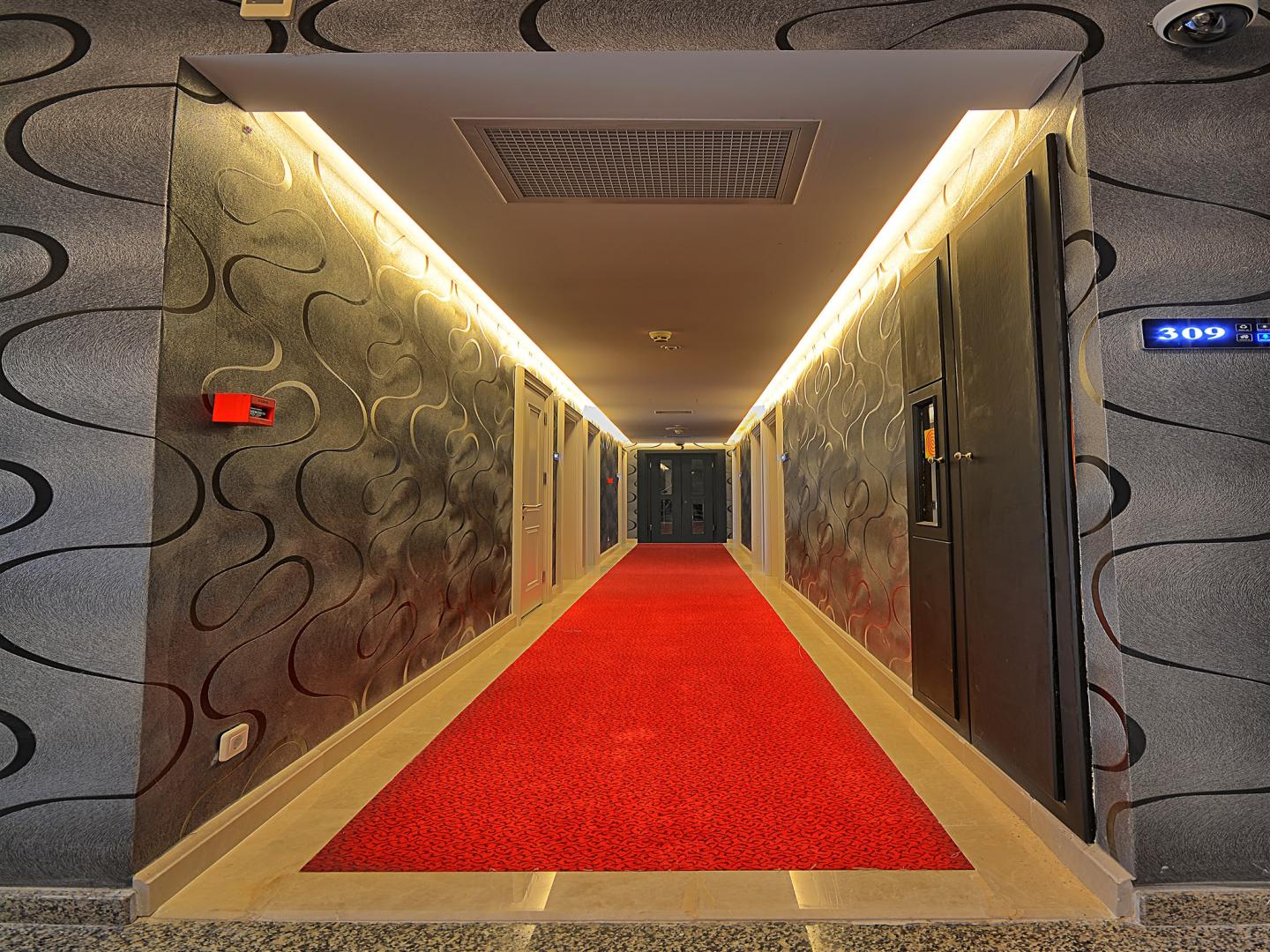 Samir Deluxe Hotel foto 12