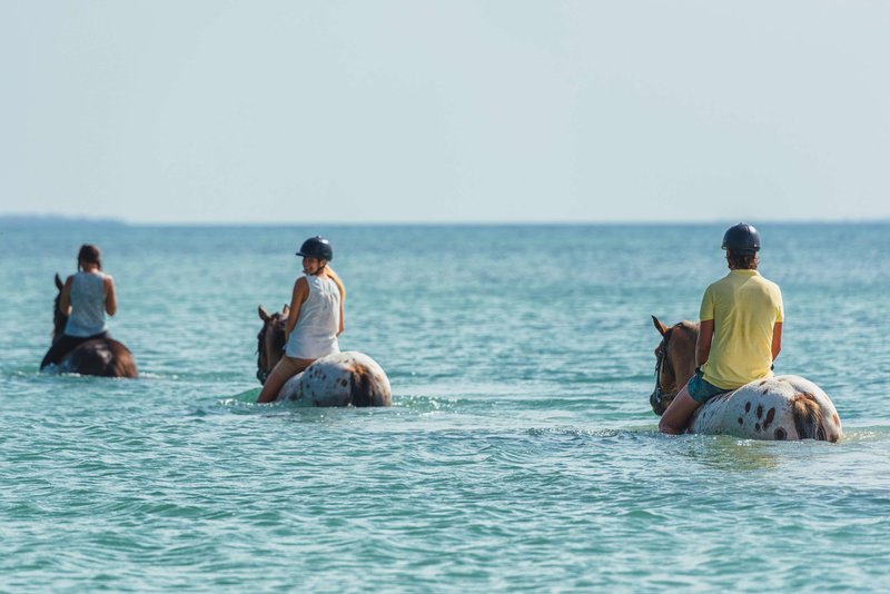 Sea Cliff Resort & Spa foto 96