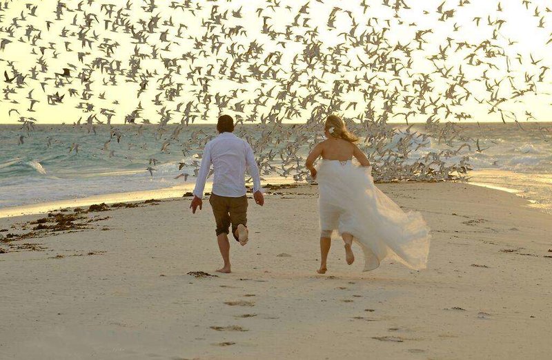 Sea Cliff Resort & Spa foto 128
