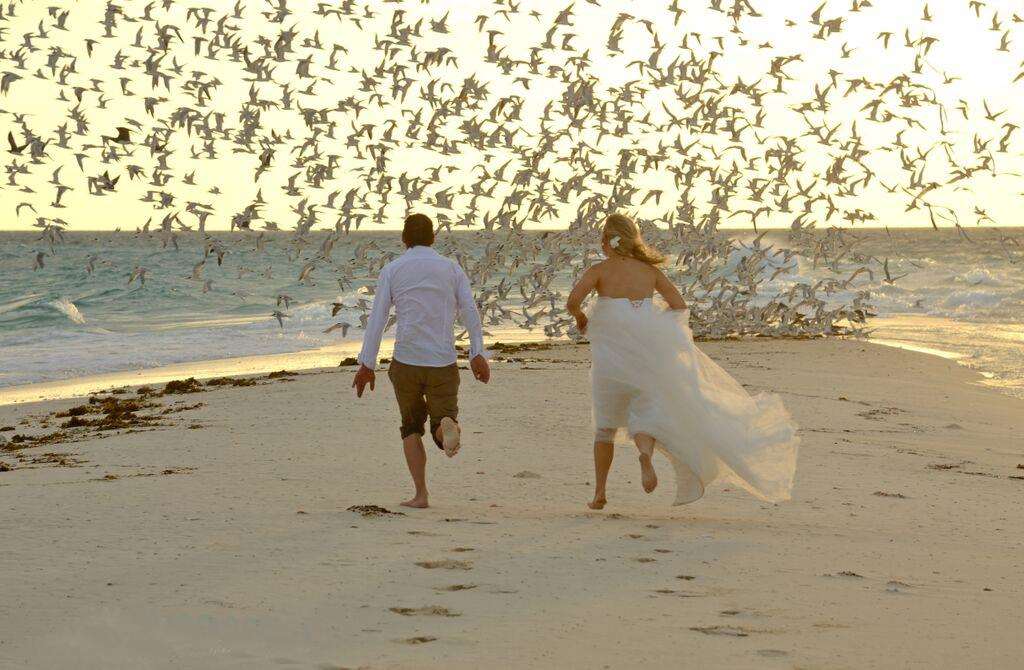 Sea Cliff Resort & Spa foto 129