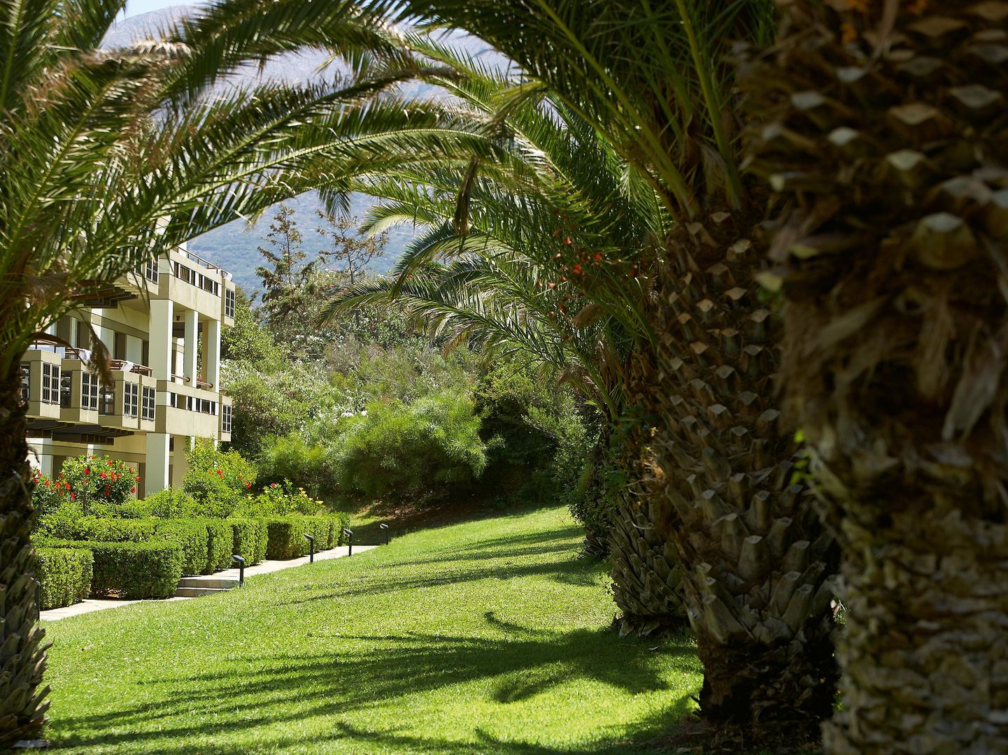 Grecotel Meli Palace foto 59