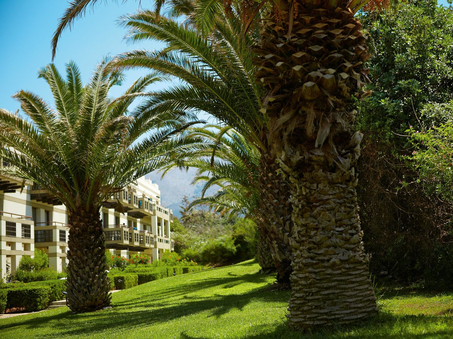 Grecotel Meli Palace foto 50