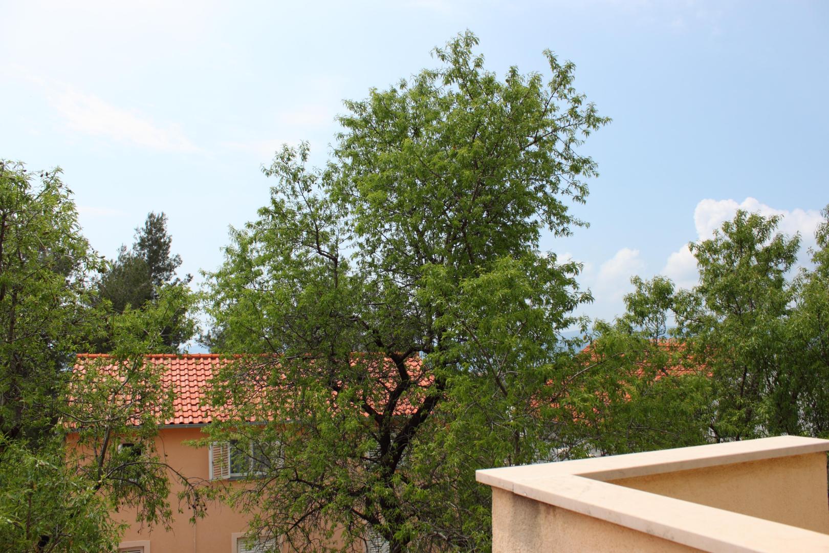 Villa Meridiana foto 9