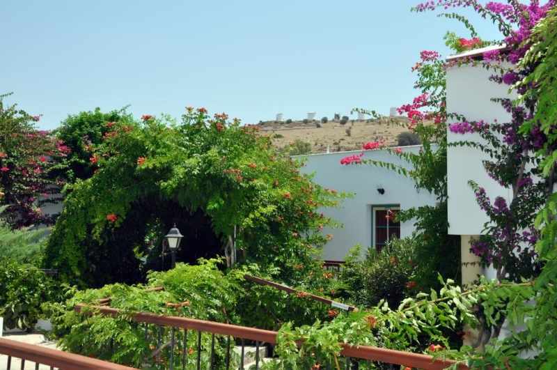 Siesta Beach Apartments image 3