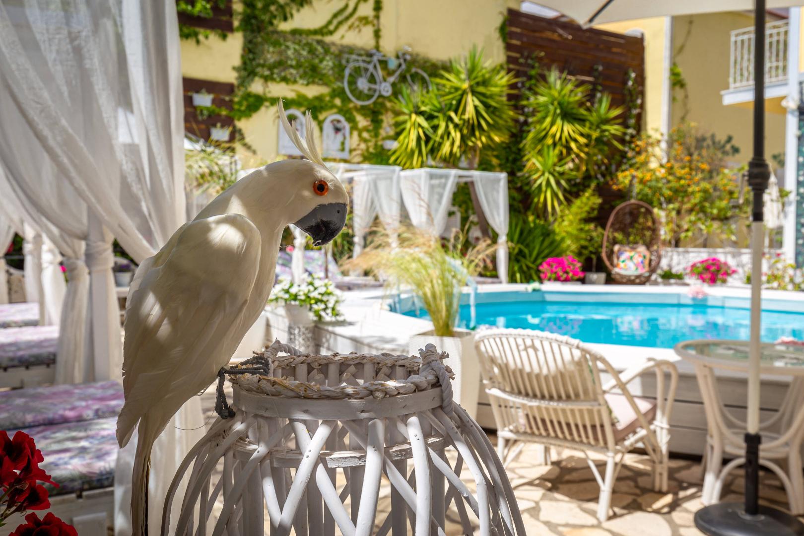 V.A Boutique Apartments & Suites foto 39