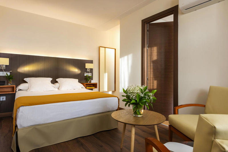 Hotel De Francia y París