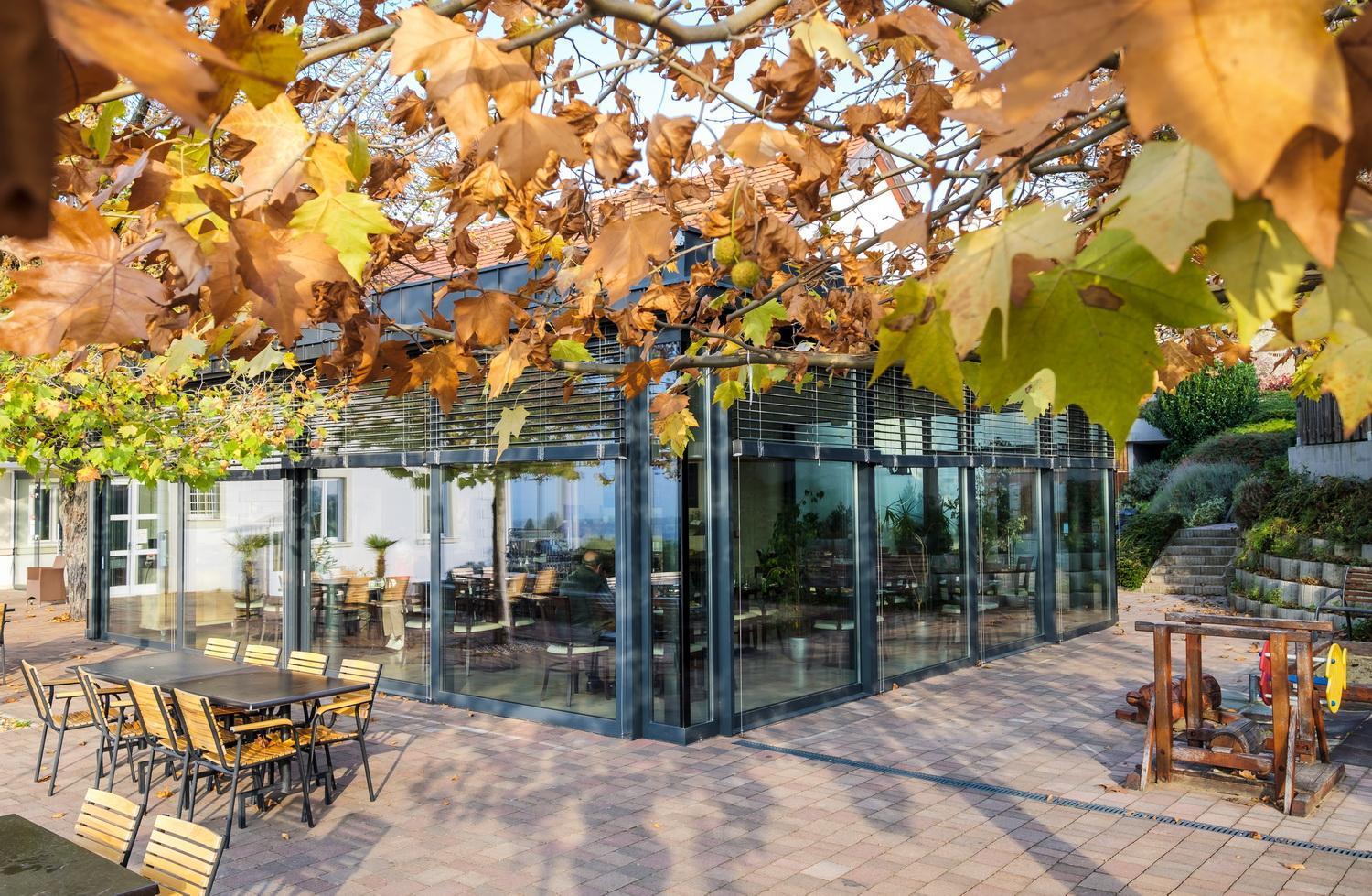 Zenit Hotel Balaton foto 21