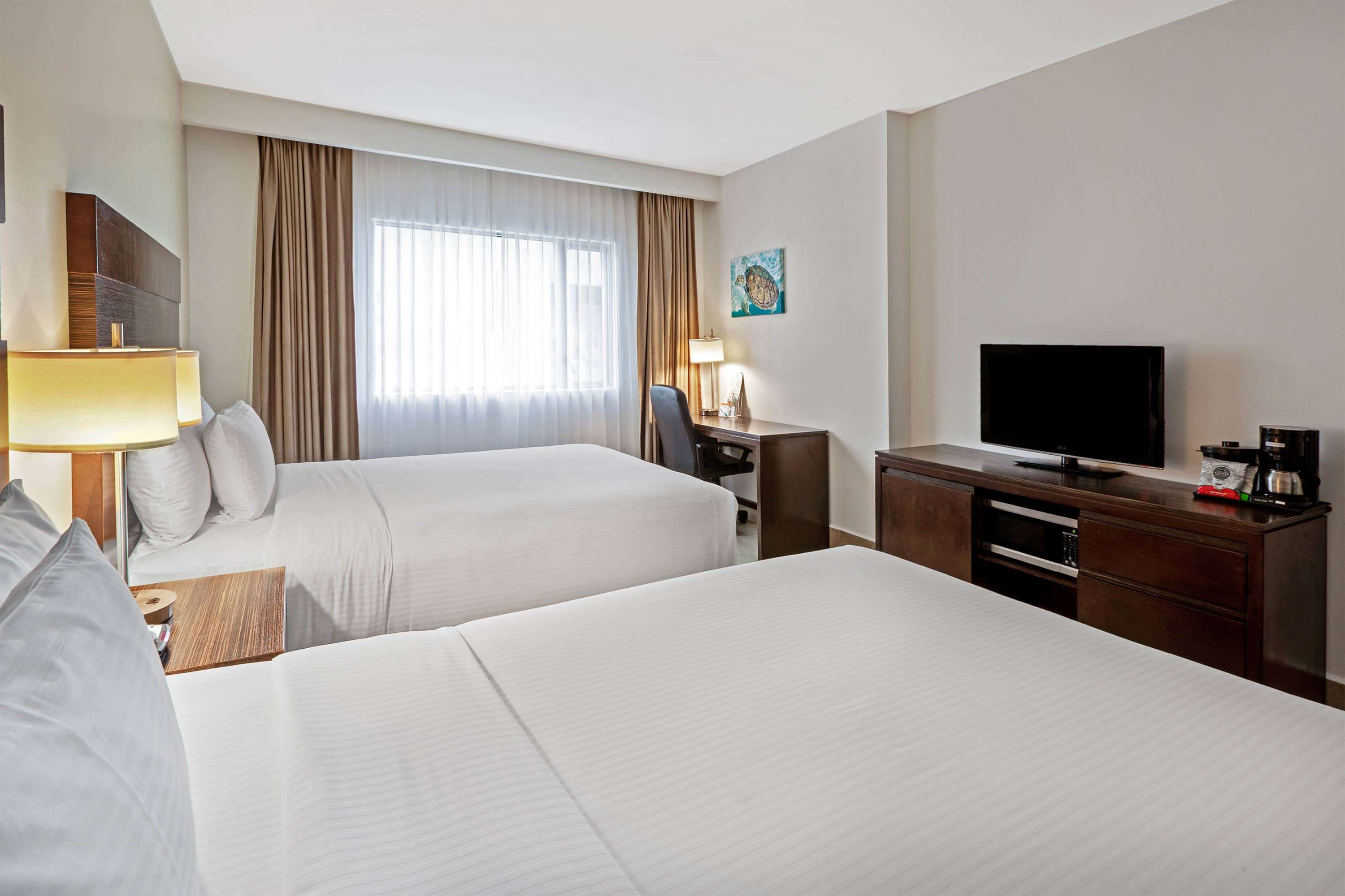 Wyndham Garden Cancun Downtown foto 78