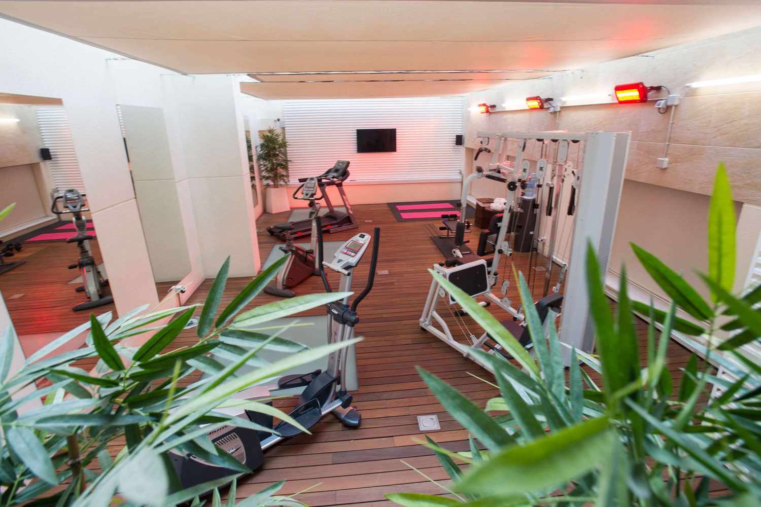 Sercotel Coliseo image 2